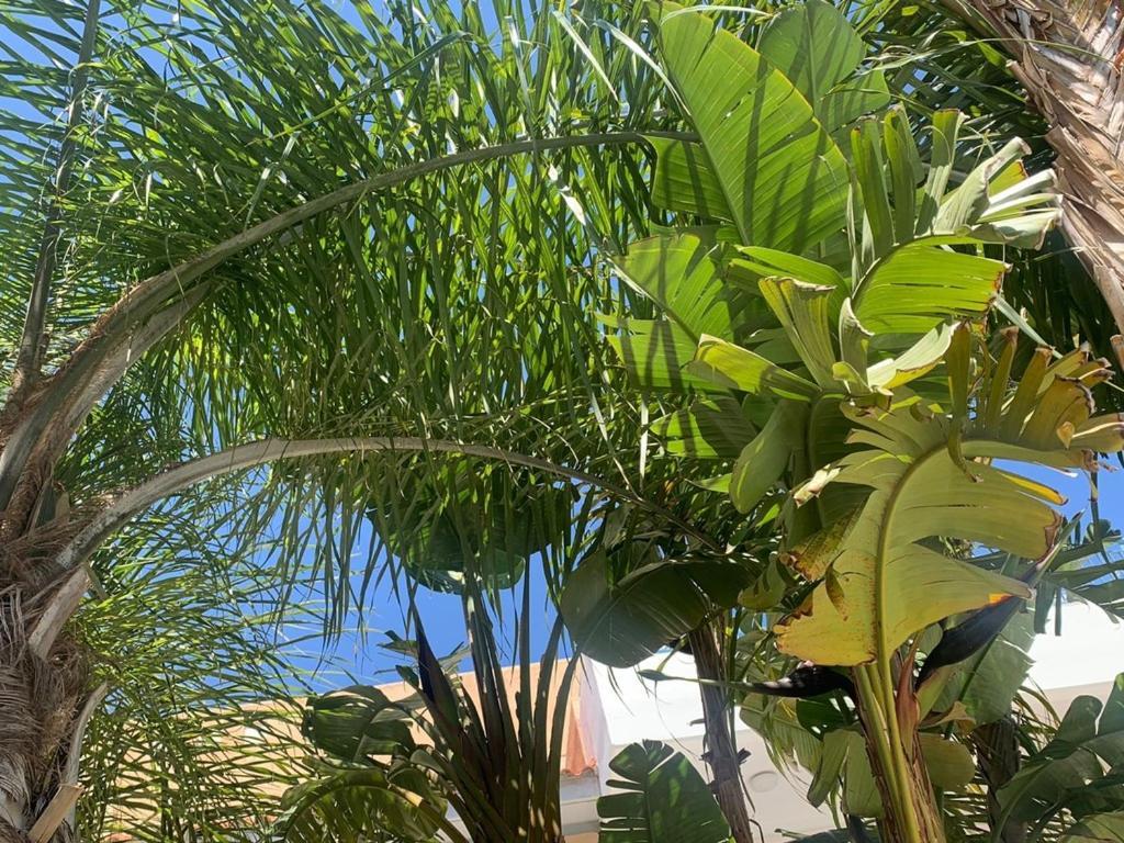 Town House, Ilios Ii, Kato Paphos Villa Екстериор снимка